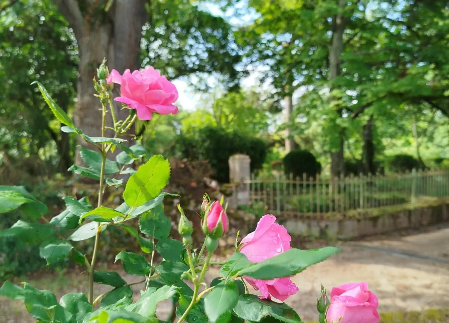La Reverdie Cahuzac-sur-Vère Bed & Breakfast