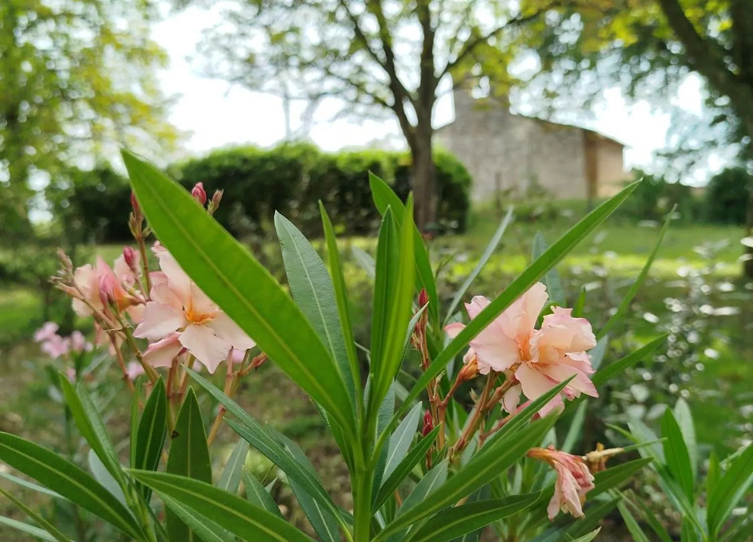 La Reverdie Cahuzac-sur-Vère